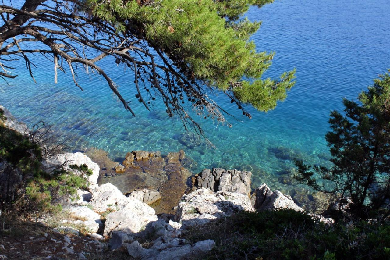 Apartments With A Parking Space Bozava, Dugi Otok - 8108 Екстериор снимка