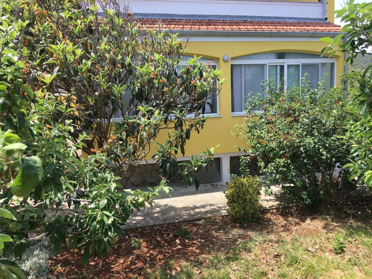 Apartments With A Parking Space Bozava, Dugi Otok - 8108 Екстериор снимка