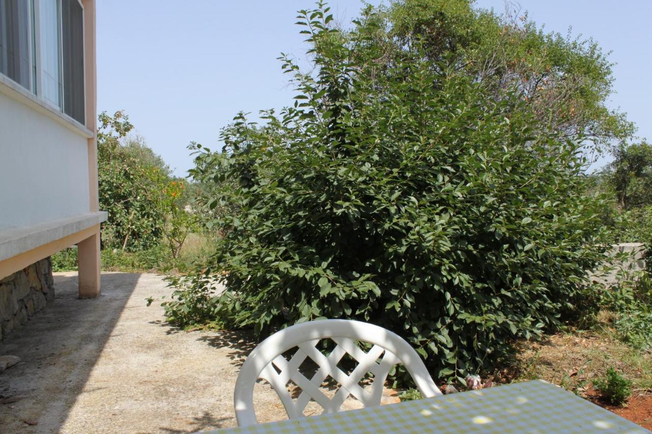 Apartments With A Parking Space Bozava, Dugi Otok - 8108 Екстериор снимка