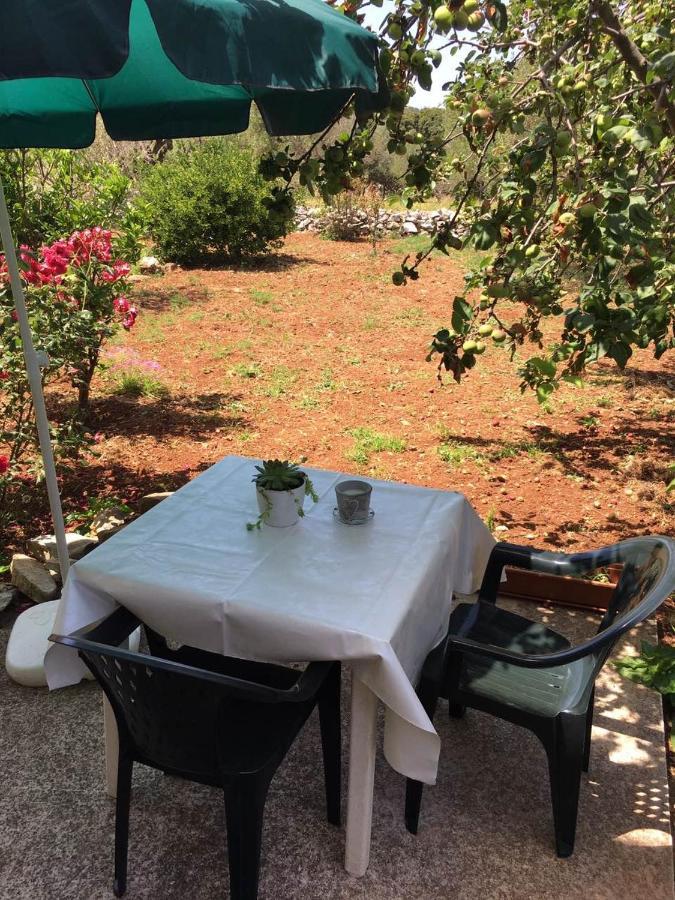 Apartments With A Parking Space Bozava, Dugi Otok - 8108 Екстериор снимка