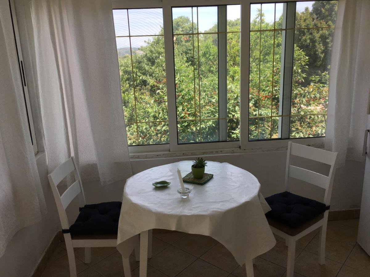 Apartments With A Parking Space Bozava, Dugi Otok - 8108 Екстериор снимка